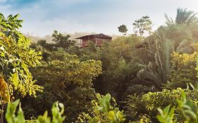 Casa del Bosque Tayrona